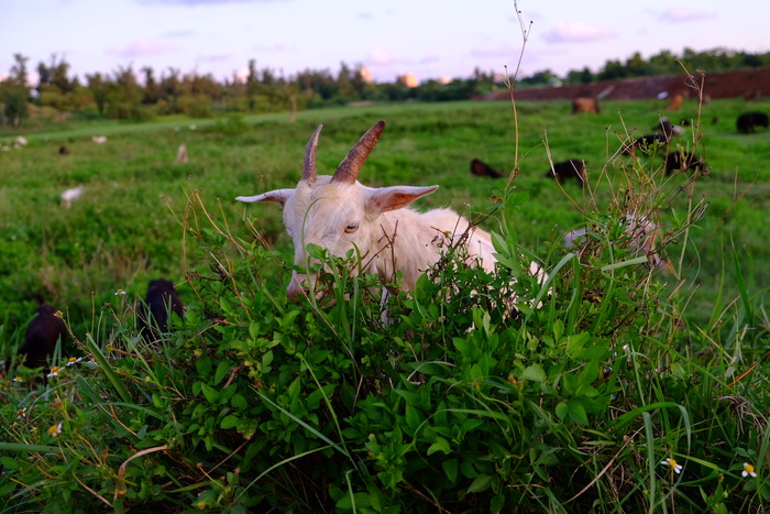 �V�����������������ލu����