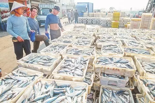 �V�����������������r