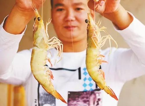 �V�����������������r