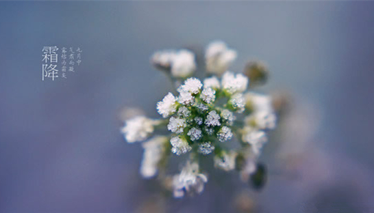 �V���������������������