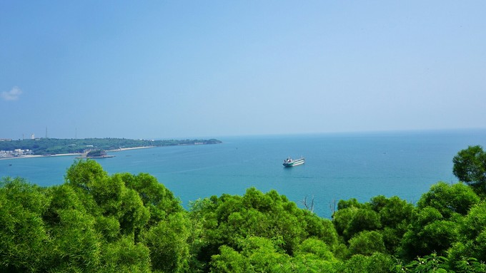 �V���������������ό������ލu����