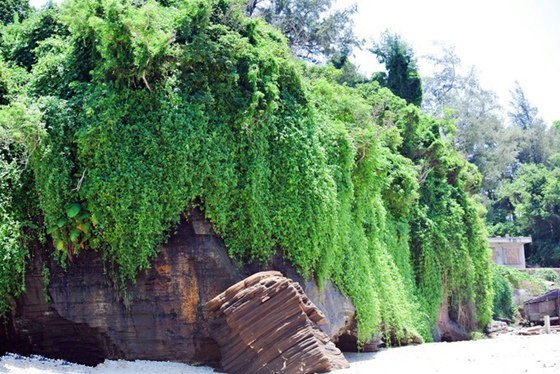 �V���������������ό������ލu����