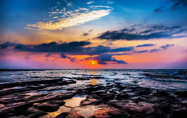 �V���������������ό������ލu����