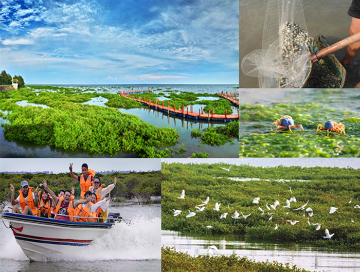 �V�����������磬���������M(f��i)��