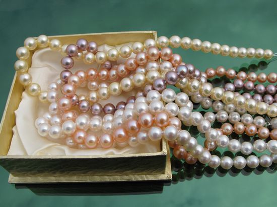 �V�����������������������M(f��i)��